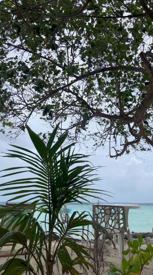 Aqua Sunset Hotel Gulhi Exterior photo